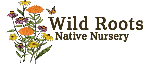 Wild Roots Native Nursery