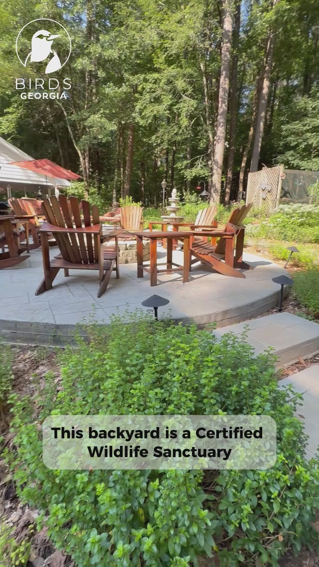 Birds Georgia video describing why Stephanie's yard is a Certified Wildlife Sanctuary.